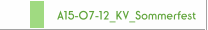 A15-07-12_KV_Sommerfest