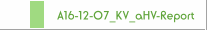 A16-12-07_KV_aHV-Report
